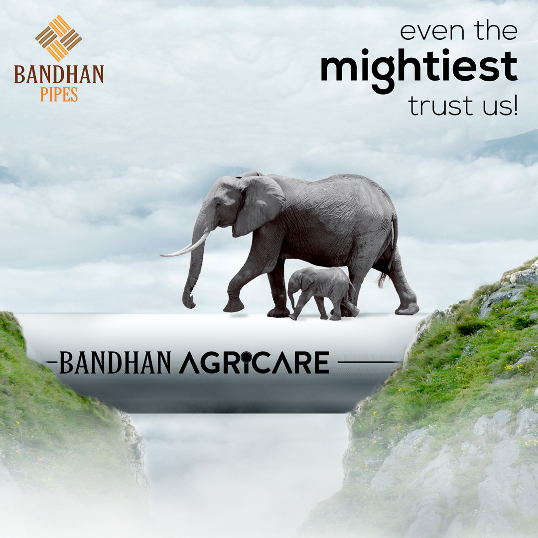 Bandhan